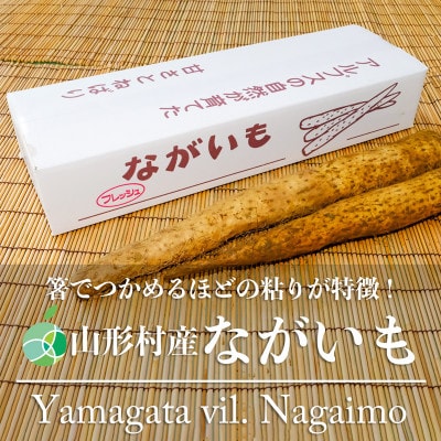 山形村産ながいも　約3Kg　長野県山形村産