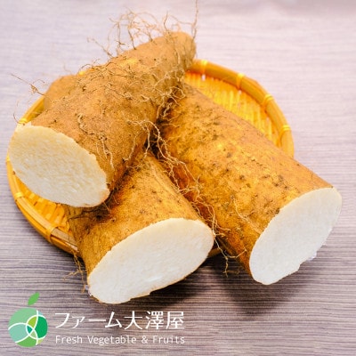 山形村産ながいも　約3Kg　長野県山形村産