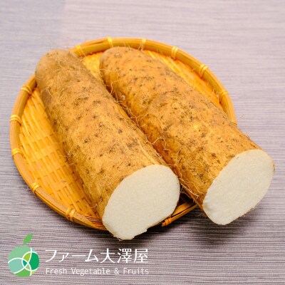山形村産ながいも　約3Kg　長野県山形村産