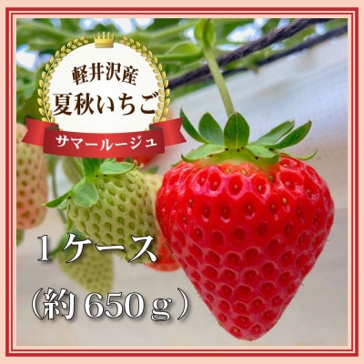 　【発送7/4以降】長野県軽井沢町産　夏秋いちご「サマールージュ」1ケース(約650g)