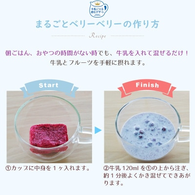 フリーズドライ・牛乳でつくる飲むデザートまるごとベリーベリー2食×12袋(ミックスベリーミルクの素)