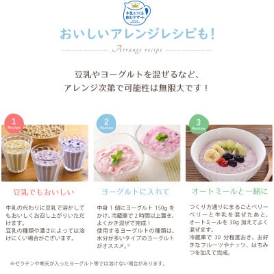 フリーズドライ・牛乳でつくる飲むデザートまるごとベリーベリー2食×12袋(ミックスベリーミルクの素)