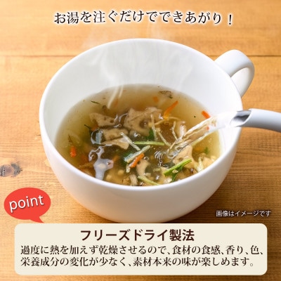 【スープ生活】4種のねばねばスープ40食セット(4食入×10袋)/フリーズドライ製法・簡単調理