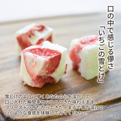 いちごの雪どけ(30g)×4袋セット/フリーズドライ製法(ホワイトチョコレートといちごのお菓子)