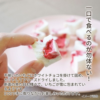 いちごの雪どけ(30g)×4袋セット/フリーズドライ製法(ホワイトチョコレートといちごのお菓子)