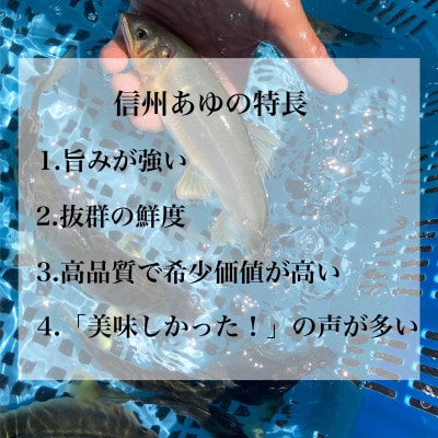 臼田養魚場の信州あゆ(冷凍個包装)10尾