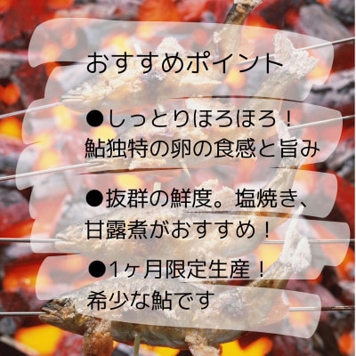 「子持ち」の信州あゆ(冷凍個包装)8尾