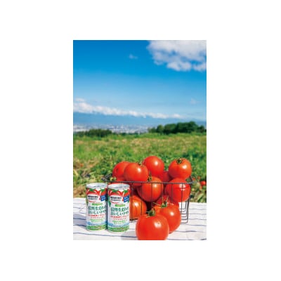 ナガノトマトのギフトB-5信州生まれのおいしいトマト食塩無添加190g×18本入り(トマトジュース)