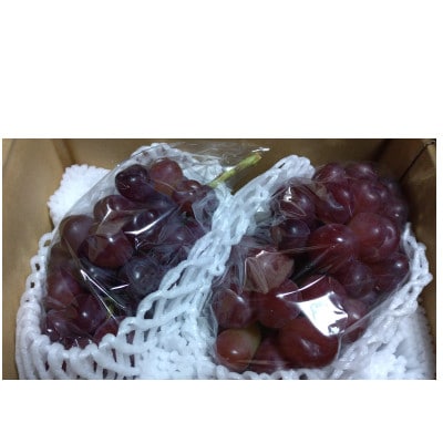 マイハート 1房 ご贈答品【 栽培期間中化学肥料/除草剤 不使用・草生栽培 】ハート形の高級ぶどう