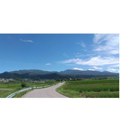 マイハート 1房 ご贈答品【 栽培期間中化学肥料/除草剤 不使用・草生栽培 】ハート形の高級ぶどう