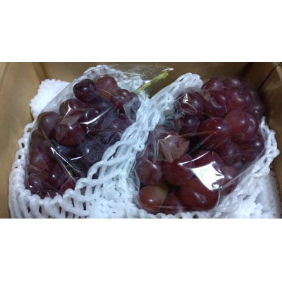 マイハート 2房 ご贈答【 栽培期間中化学肥料/除草剤 不使用・草生栽培 】ハート形の高級ぶどう