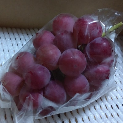 クイーンニーナ 贈答 大房2房 1kg～1.2㎏【 栽培期間中化学肥料/除草剤 不使用・草生栽培 】
