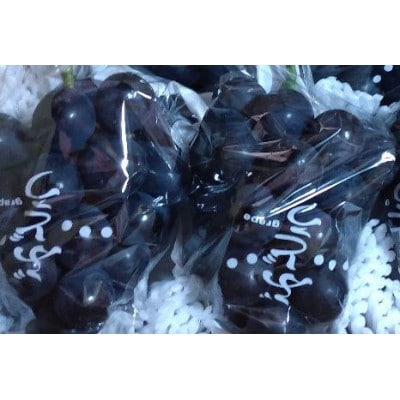 ナガノパープル 約1kg【 栽培期間中低農薬 】高級ぶどう 濃厚な甘みで大人気♪