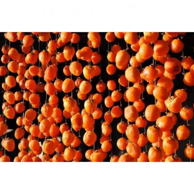 完熟市田柿 約500g【 栽培期間中/低農薬・除草剤不使用 】秀・優品 L/Mサイズ