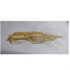 生高麗人参 6年生 省き品 約80g/1本【 栽培期間中低農薬 】信州産 朝鮮人参