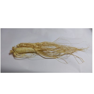 6年生 省き品 約80g/1本【 生高麗人参 栽培期間中低農薬 】信州産 朝鮮人参