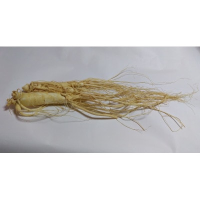 生高麗人参 6年生 省き品 約100g/1本【 栽培期間中低農薬 】信州産 朝鮮人参