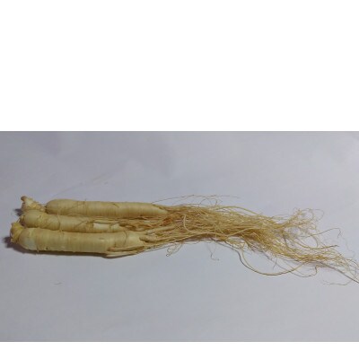 生高麗人参 6年生 10～50g/1本を約100g分 【 栽培期間中低農薬 】信州産 朝鮮人参 国産