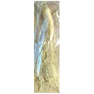 生高麗人参 6年生 約130g/1本【 栽培期間中低農薬 】信州産 朝鮮人参 国産