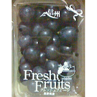 ナガノパープル 500g(小房、粒) 1房分以上【 栽培期間中化学肥料/除草剤 不使用 】