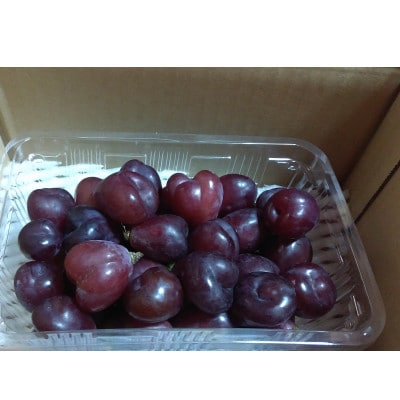 マイハート 400g 【 栽培期間中化学肥料/除草剤 不使用・草生栽培 】ハート形の希少種 高級葡萄