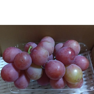 クイーンニーナ 400g(小房や粒など)【 栽培期間中化学肥料/除草剤 不使用・草生栽培 】