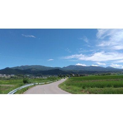 【 栽培期間中化学肥料/除草剤 不使用・草生栽培 】2房 クイーンルージュ(R) 高糖度の高級葡萄♪