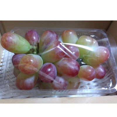 高級ぶどうの彩り(ナガノパープルなど)粒400g【 栽培期間中化学肥料/除草剤 不使用・草生栽培 】