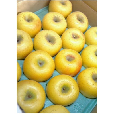 シナノゴールド 約5kgご贈答品 長野県産樹熟りんご【栽培期間中低農薬/除草剤不使用/ノンワックス】