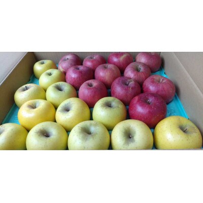 サンふじ&シナノゴールド 約5kg ご贈答品(中～小玉)【栽培期間中低農薬・除草剤不使用】