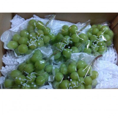 完熟シャインマスカット ご家庭用 約4kg【 栽培期間中化学肥料/除草剤 不使用・草生栽培 】