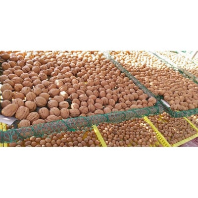 信濃くるみ【長野県東御市産ブランド】1kg(大粒) 殻付き 令和6年産 新物