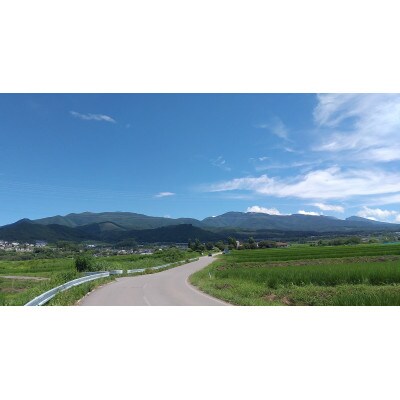 完熟サンふじ 約5kg【大～中玉】ご家庭用(A級品) 長野県産【栽培期間中低農薬/除草剤不使用】