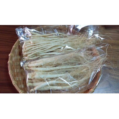 生高麗人参 2年生 太物 約200g【 栽培期間中低農薬 】信州産 朝鮮人参 国産