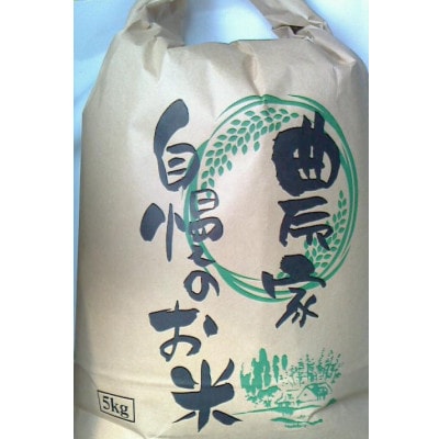 白米10kg(5kg×2袋)コシヒカリ【 栽培期間中低農薬 】令和7年産 新米 長野県東御市産