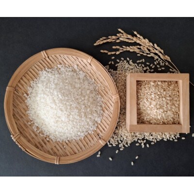 白米10kg(5kg×2袋)コシヒカリ【 栽培期間中低農薬 】令和7年産 新米 長野県東御市産
