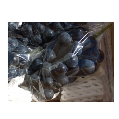 ナガノパープル 400g 家庭用【 栽培期間中化学肥料/除草剤 不使用・草生栽培 】
