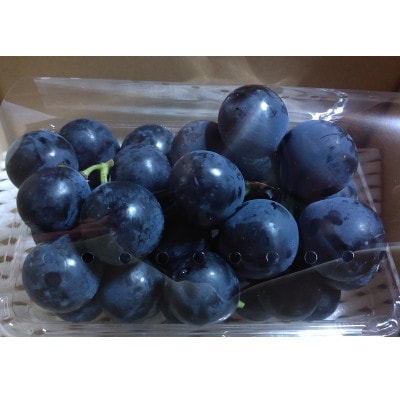 ナガノパープル 400g(小房・粒) 【 栽培期間中化学肥料/除草剤 不使用・草生栽培 】