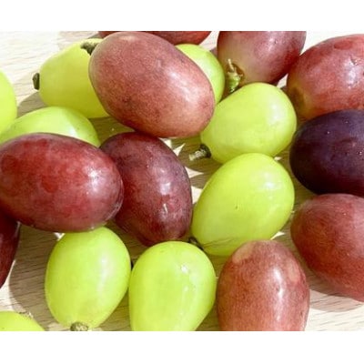 ぶどうの彩り 500g(粒) 冷凍【 栽培期間中化学肥料/除草剤 不使用・草生栽培 】希少種