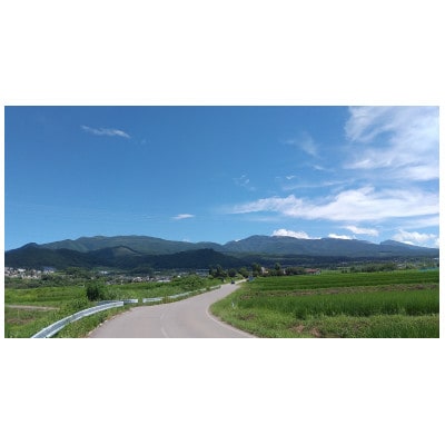 ぶどうの彩り 500g(粒) 冷凍【 栽培期間中化学肥料/除草剤 不使用・草生栽培 】希少種