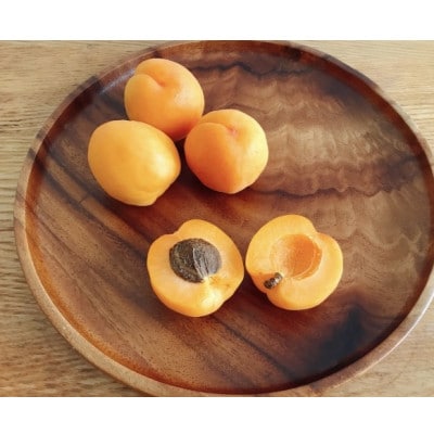あんず 生食用 (ニコニコットまたはサニーコット)約1.1kg 長野県産 産地直送