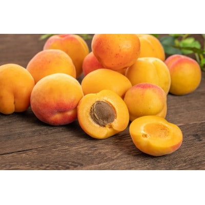 あんず 加工/生食用( 信州サワー または 信州大実 )約1.1kg(小サイズ) 長野県産 産地直送