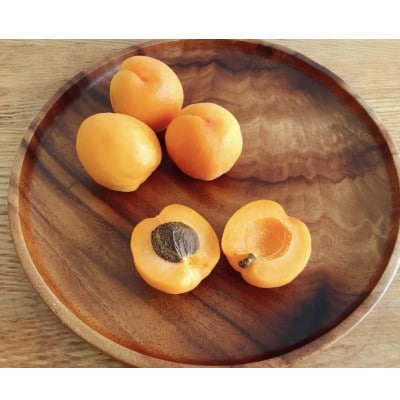 あんず 生食用 (ニコニコットまたはサニーコット)約1.2kg(小サイズ) 長野県産 産地直送