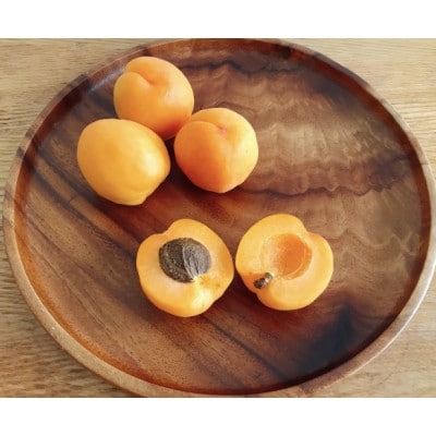 あんず 生食用 (ニコニコットまたはサニーコット)約2.1kg(小サイズ) 長野県産 産地直送
