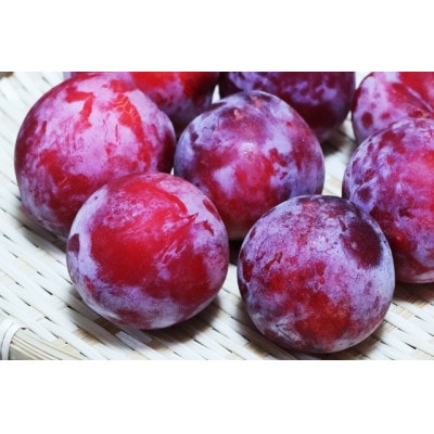 ハリウッド(すもも)約1.1kg 長野県産 産地直送