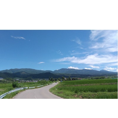 ナガノパープル 2房 【 栽培期間中化学肥料/除草剤 不使用・草生栽培 】