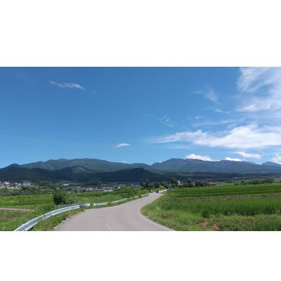 ナガノパープル 700g(粒)【 栽培期間中極力化学肥料不使用・除草剤不使用 】