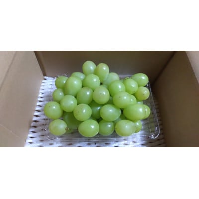 シャインマスカット&高級ぶどう詰合せ 400g【 栽培期間中化学肥料/除草剤 不使用・草生栽培 】