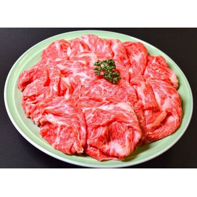 モリタ屋　信州プレミアム牛肉切り落とし500g