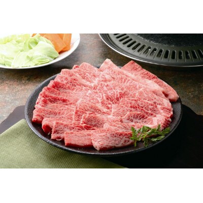 モリタ屋　信州プレミアム牛肉バラ焼肉用450g